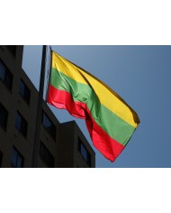 Bandera Lituania exterior Bandera Lituania exterior