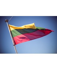 Bandera Lituania exterior Bandera Lituania exterior
