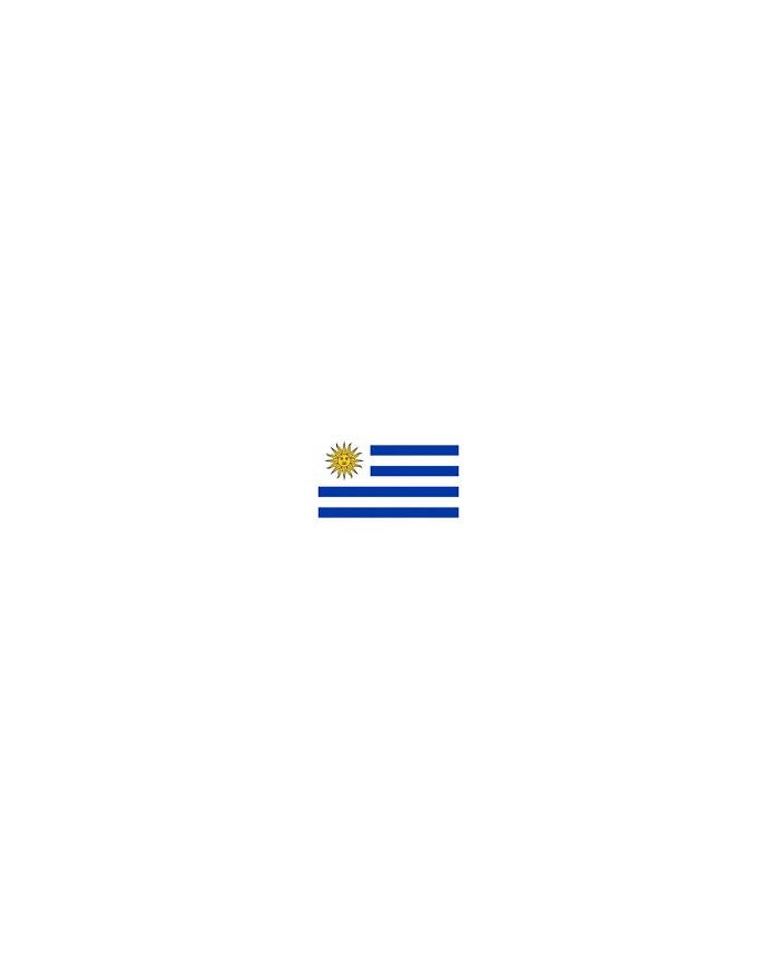 Bandera Uruguay 10 x 15 cm. Bandera Uruguay 10 x 15 cm.