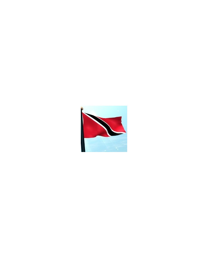 Bandera Trinidad Tobago exterior