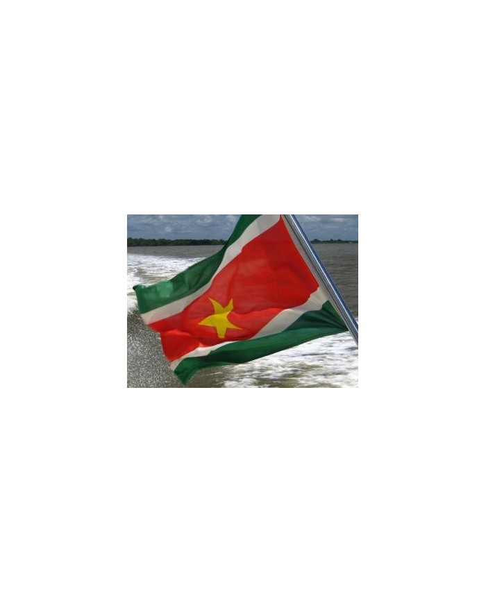 Bandera Surinam exterior