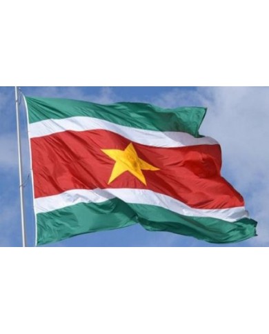Bandera Surinam exterior