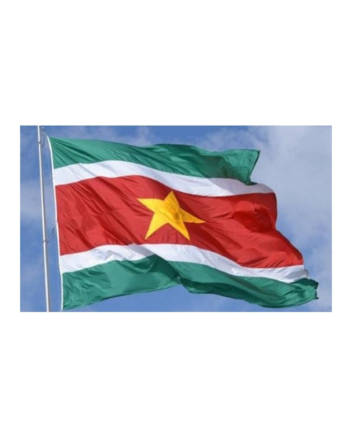 Bandera Surinam exterior