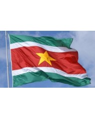 Bandera Surinam exterior