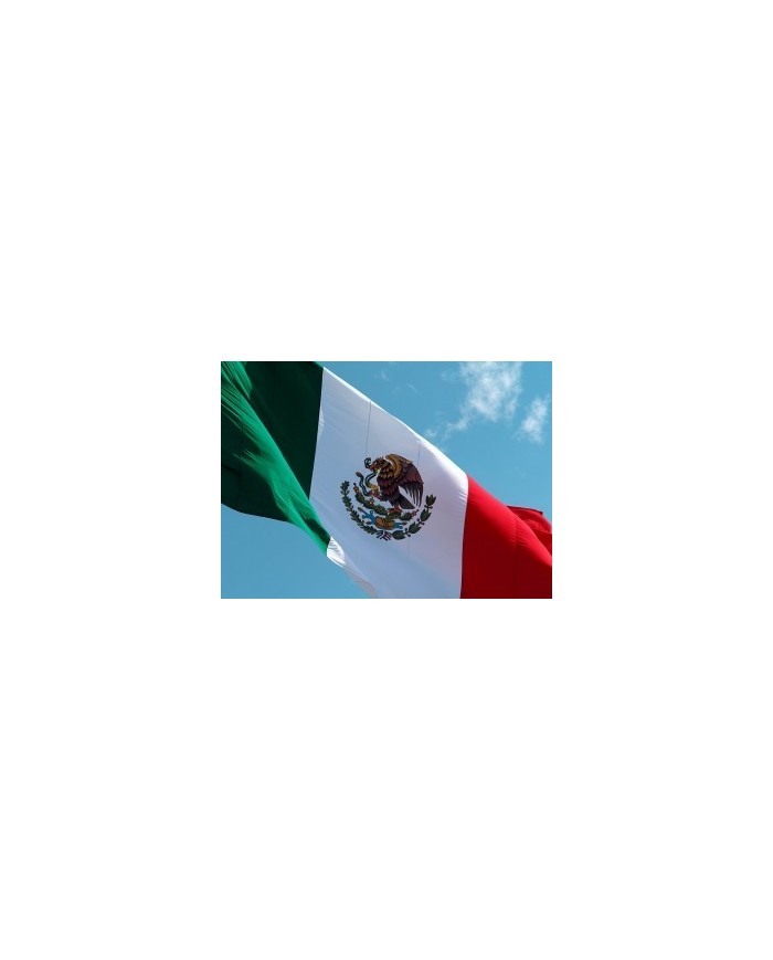Bandera Mexico exterior