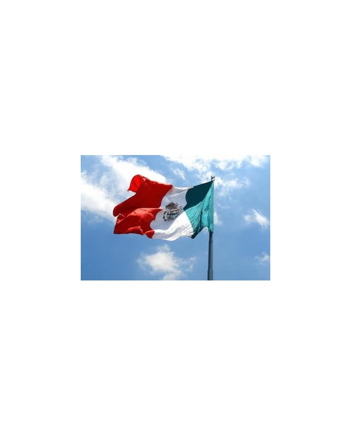 Bandera Mexico exterior