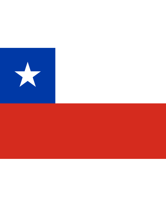 Bandera Chile 10 x 15 cm.
