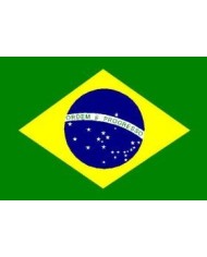 Bandera Brasil 10 x 15 cm.