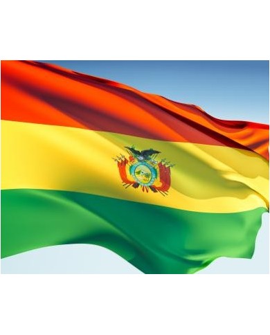 Bandera Bolivia exterior Bandera Bolivia exterior
