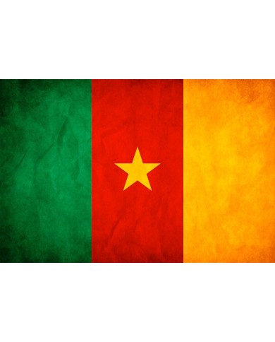 Bandera Camerún exterior Bandera Camerún exterior