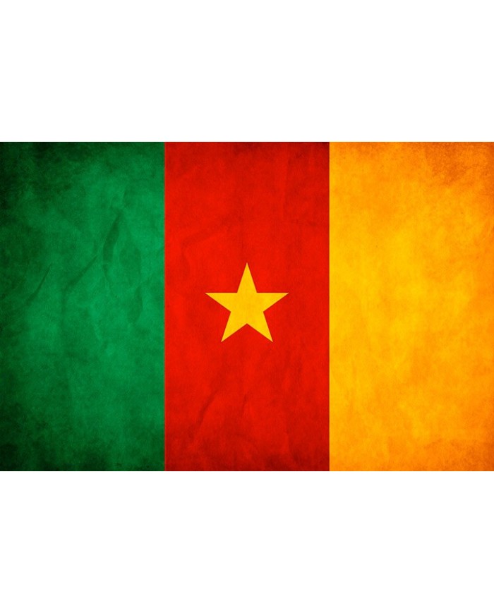 Bandera Camerún exterior Bandera Camerún exterior