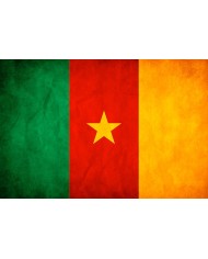 Bandera Camerún 10 x 15 cm.