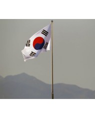 Bandera Corea del sur exterior