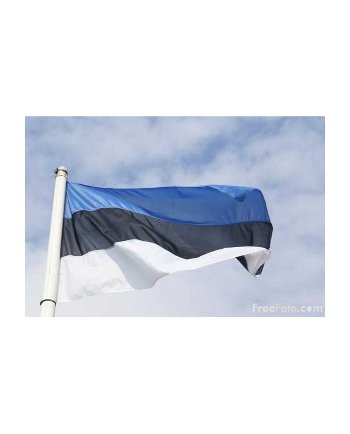 Bandera Estonia exterior