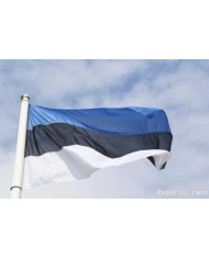 Bandera Estonia exterior