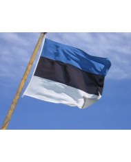 Bandera Estonia exterior