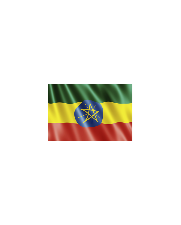 Bandera Etiopia exterior