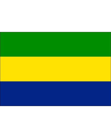Bandera Gabón exterior