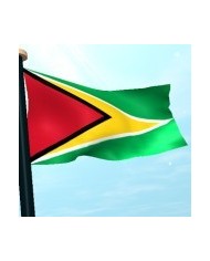 Bandera Guyana exterior