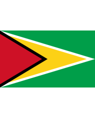 Bandera Guyana exterior