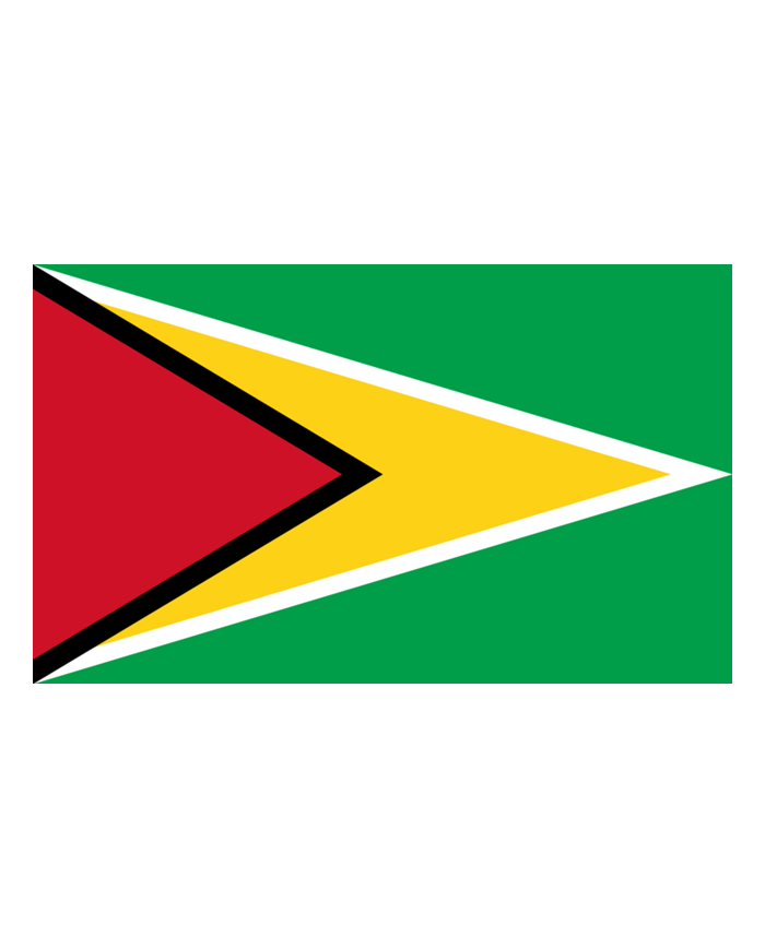 Bandera Guyana 10 x 15 cm. Bandera Guyana 10 x 15 cm.
