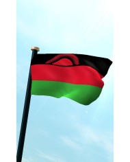 Bandera Malawi exterior