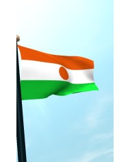 Bandera Níger exterior