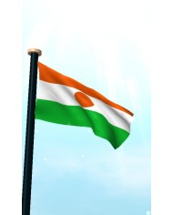 Bandera Níger exterior