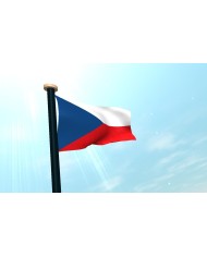 Bandera República Checa exterior