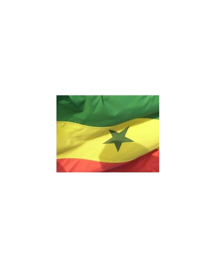 Bandera Senegal exterior Bandera Senegal exterior