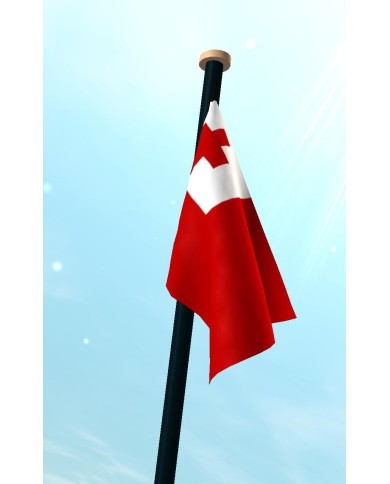 Bandera Tonga exterior Bandera Tonga exterior