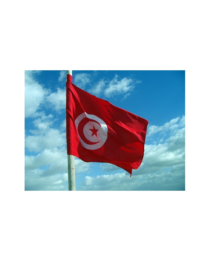 Bandera Túnez exterior