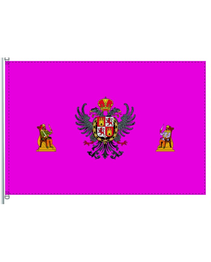 Bandera Toledo