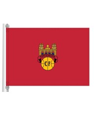 Bandera Pontevedra C.F. Bandera Pontevedra C.F.