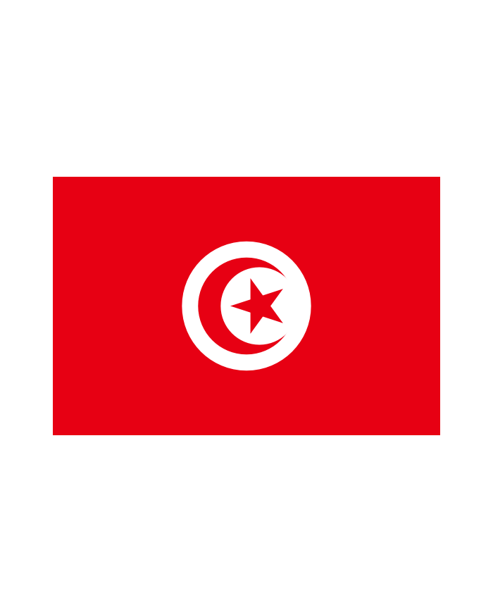 Bandera Túnez exterior