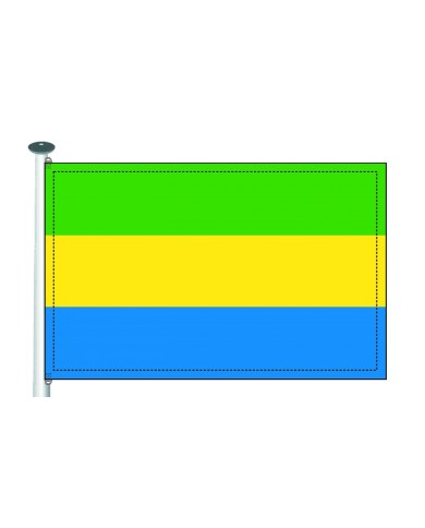 Bandera Gabón exterior