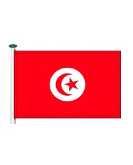 Bandera Túnez exterior