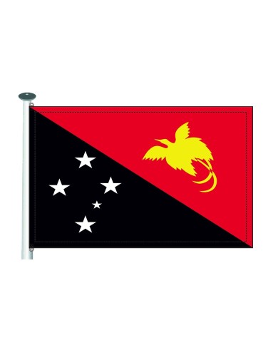 Bandera Papúa Nueva Guinea exterior
