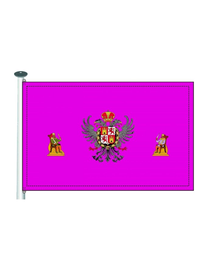 Bandera Toledo