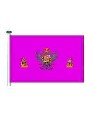 Bandera Toledo