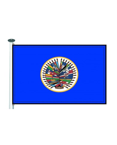 Bandera OEA ( Organización Estados Americanos )