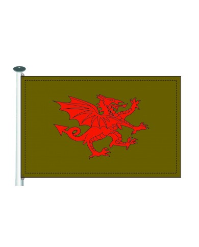 Bandera medieval dragón fondo liso Bandera medieval dragón fondo liso