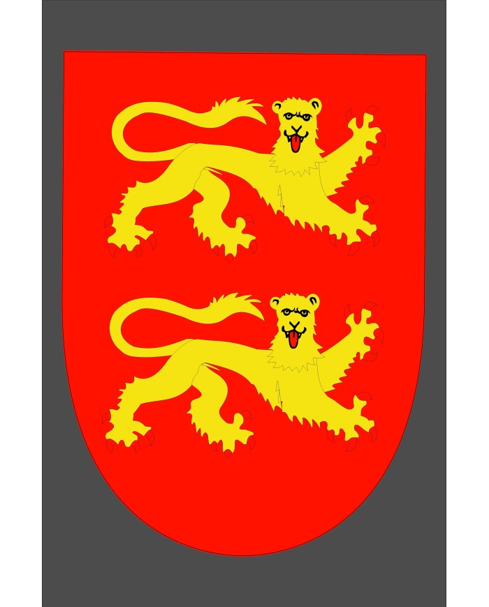 Bandera medieval modelo 13 Bandera medieval modelo 13