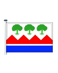 Bandera Benalua de las Villas