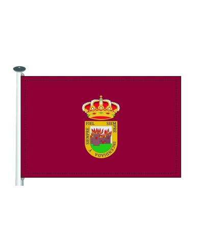 Bandera Arenas de San Pedro