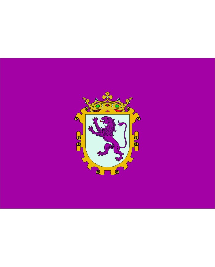 Bandera León Ciudad