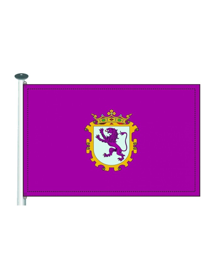 Bandera León Ciudad