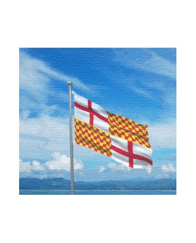 Bandera Tabarnia Bandera Tabarnia