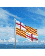 Bandera Tabarnia Bandera Tabarnia