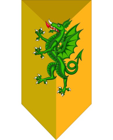 Bandera Medieval modelo 69